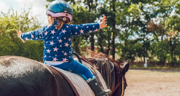 Neue Angebote im Bereich Reittherapie